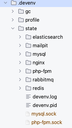 .devenv folder structure