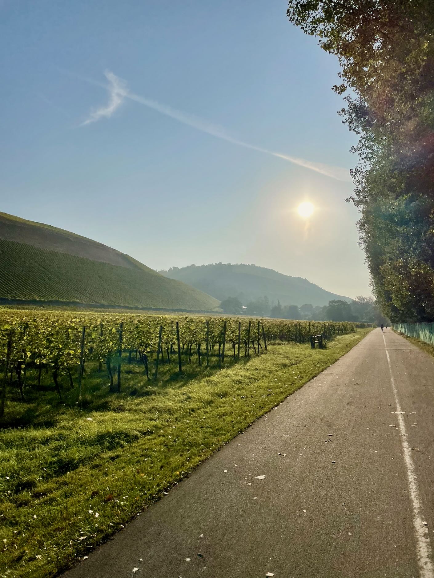 Cycling Report Header Image